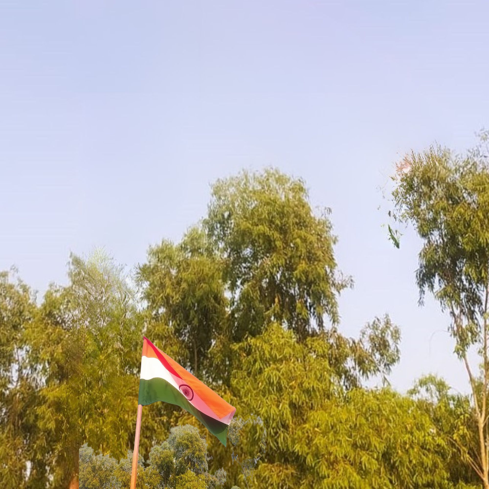 indian-flag-size-18-12-inc